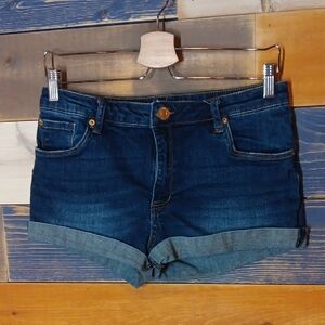 STS Blue Shorts Molly Highrise 28